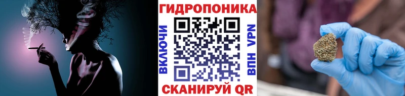 Какие есть наркотики Александровск ГАШ  АМФЕТАМИН  COCAIN  Бутират  Псилоцибиновые грибы  Бошки Шишки  Меф 