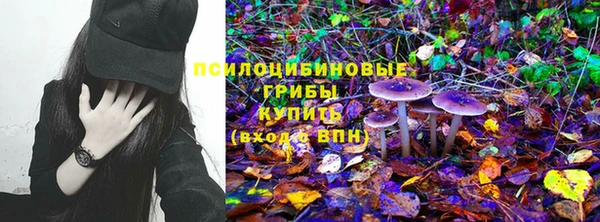 круглые Абаза