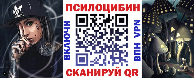 где найти   Александровск  Галлюциногенные грибы GOLDEN TEACHER 