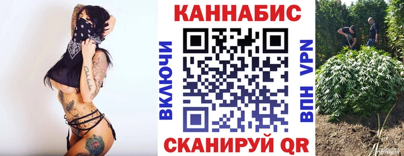 наркотики  Александровск  omg   Каннабис VHQ 